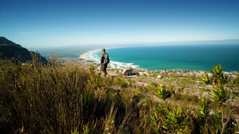 Hombre-Caminando-En-La-Cima-De-La-Montaña,-Vegetación-Nativa-De-Fynbos-En-Primer-Plano-Y-Una-Larga-Playa-A-Lo-Largo-De-La-Costa-En-Segundo-Plano