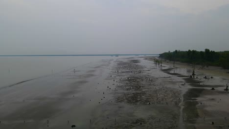 Aerial:-Kuakata-Sea-Beach-with-sparsely-located-mangrove-roots-near-Sundarban-at-evening