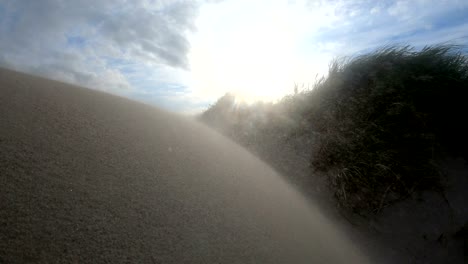 sand dunes with dune grass in the storm of the north sea, hiking dunes, dike protection, sondervig, jutland, denmark, 4k