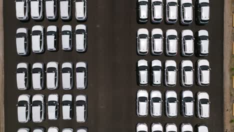 New-cars-parked-in-rows-ready-for-delivery,-Top-down-view