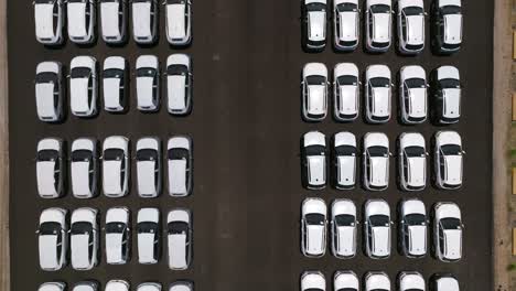 coches nuevos estacionados en filas listos para la entrega, vista de arriba hacia abajo