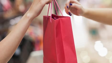 sección media de dos mujeres caucásicas sosteniendo una bolsa de compras