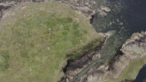 sobrevuelo aéreo recto hacia abajo de islotes de roca en la parte superior de la hierba resistente en el océano