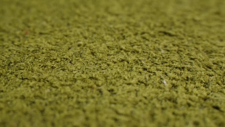 Close-up of a green carpet