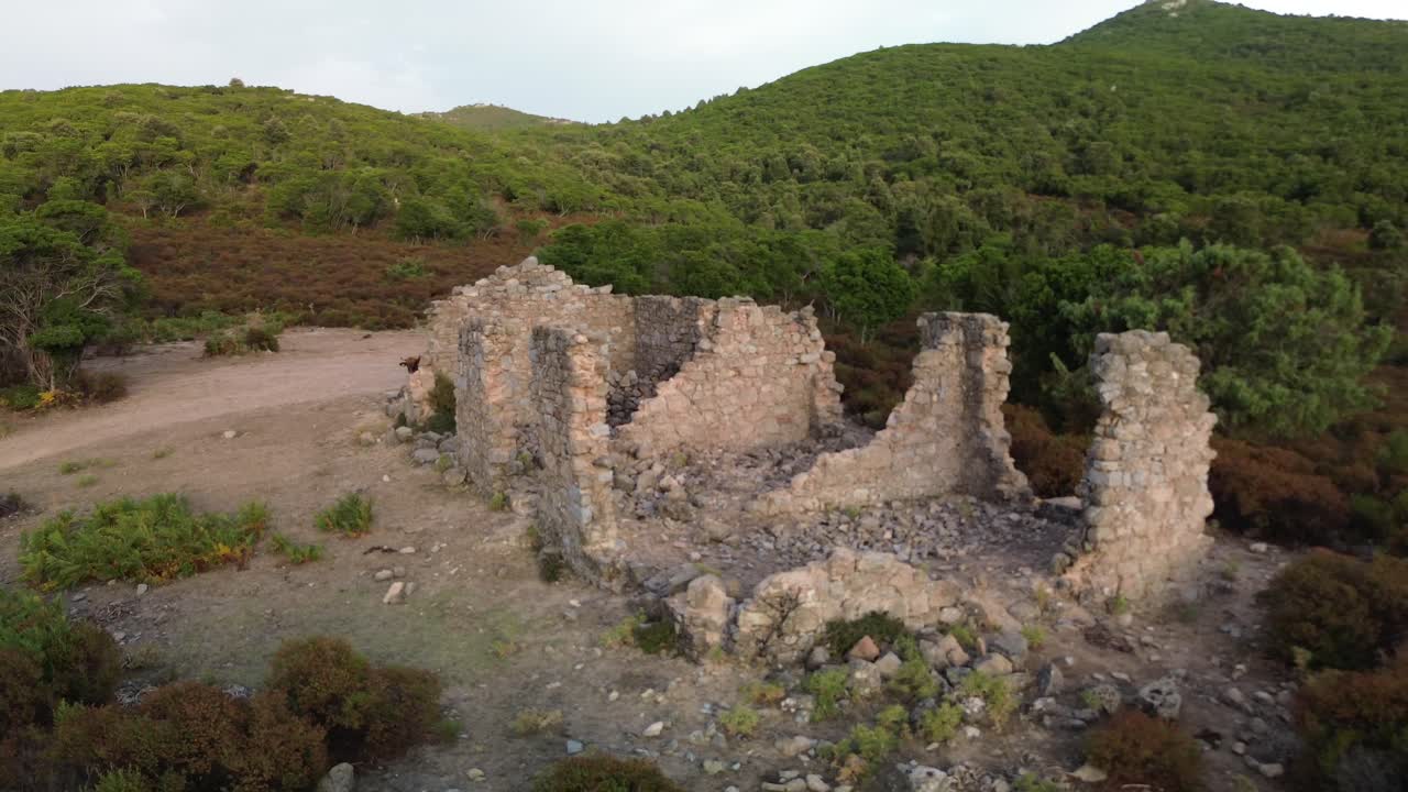 architecture, horizontal, sunlight, archaeology, aerial view, flying, panoramic, wilderness, ruined building,