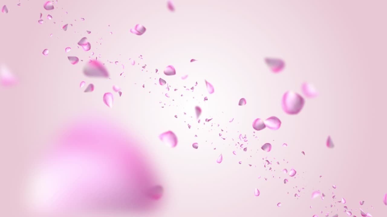 꽃잎이 떨어지는 루프 배경 녹색 화면 애니메이션.