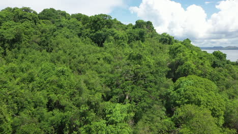 Sobrevolar-La-Foto-De-Una-Isla-Tropical-Cubierta-De-árboles-Frente-A-Madagascar