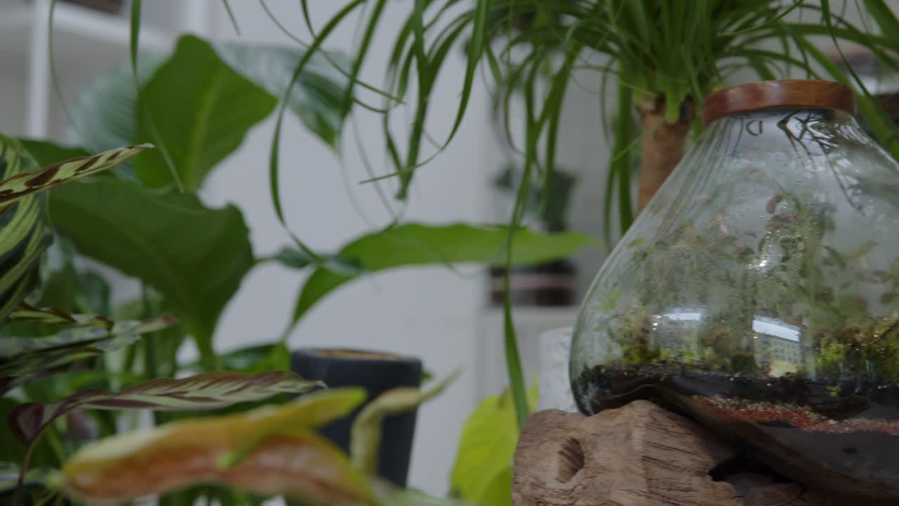 테라리움 파노라마 왼쪽에 작은 기성 꽃 구성이 있는 꽃 작업장