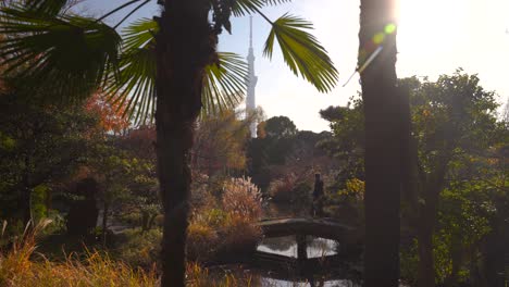 beautiful scenery inside japanese landscape garden with male traveler and skytree