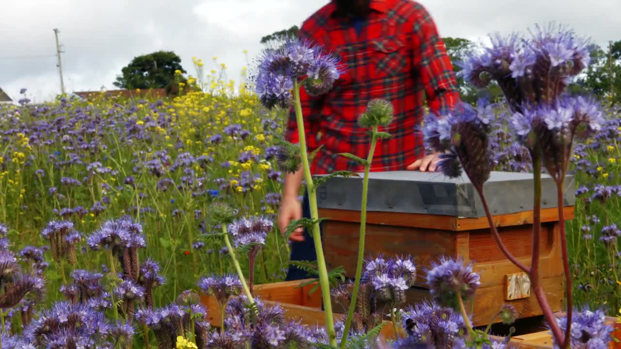 한 사람 이  ⁇  에서 벌집 을 보고 있다