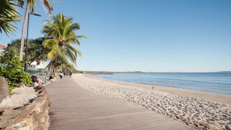 noosa heads main beach tropical beachside boardwalk with palm trees, 4k slow motion