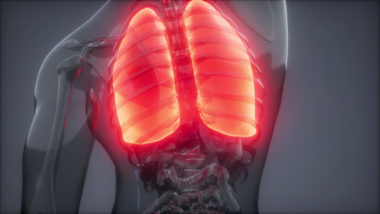 examen radiológico de los pulmones humanos