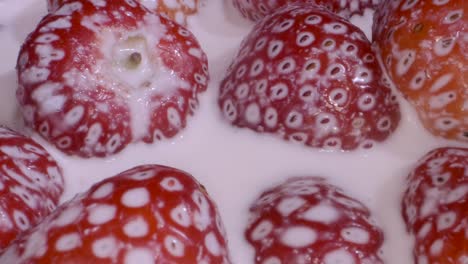 rotate of ripe strawberries covered with layer of cream. camera rotation 360 degrees, close-up.