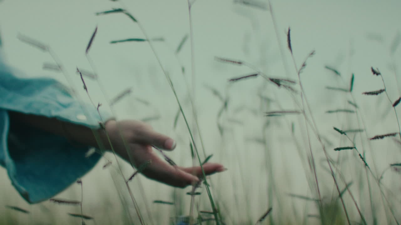 Person walking through a field of grass