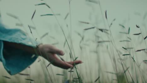 person walking through a field of grass
