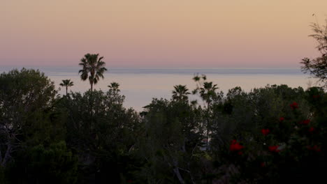 sunset timelapse of palm trees and glassy ocean on a spring day in malibu, california