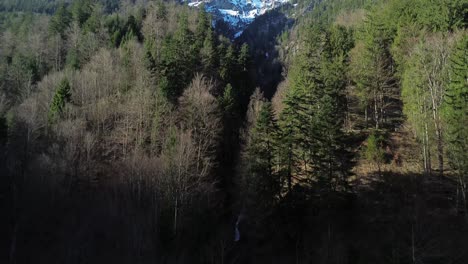 Drone-is-flying-above-Forest-and-Reveals-Snowy-Mountains-in-Background-in-Europe-Austria