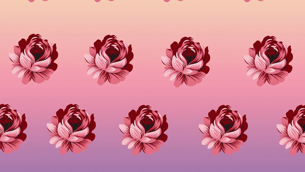 Composition of rows of pink flowers moving on pink background