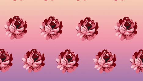 composición de filas de flores rosadas que se mueven sobre un fondo rosado