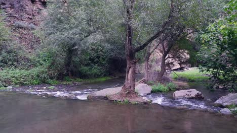 Pan-across-natural-rock-weir-on-shallow-river-in-deciduous-forest