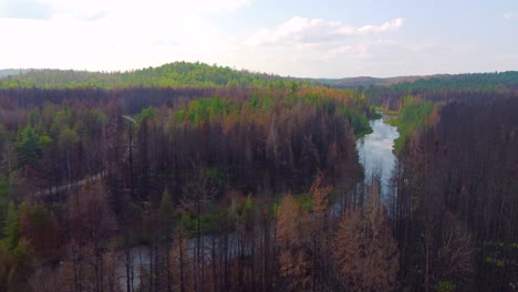 Moving-shot-over-river-running-through-dense-green-forest-on-a-cloudy-day