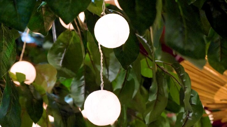 Close up of decorative small globes of light hanging from a tree