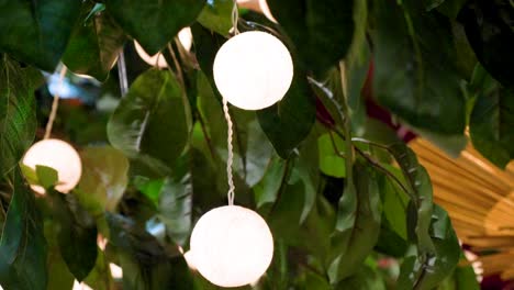 Close-up-of-decorative-small-globes-of-light-hanging-from-a-tree