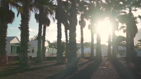 palm trees and resort in volcanic landscape