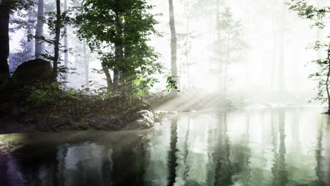 misty forest with calm water reflecting trees at dawn near a tranquil river