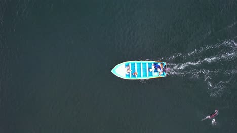 Luftaufnahme-Von-Delfinen,-Die-Um-Ein-Ausflugsboot-Herumhüpfen---Von-Oben-Nach-Unten,-Drohnenaufnahme