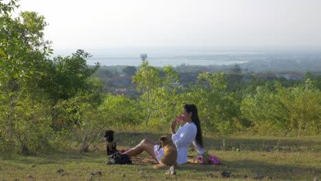 asian woman with white dress having a picnic with two small dogs