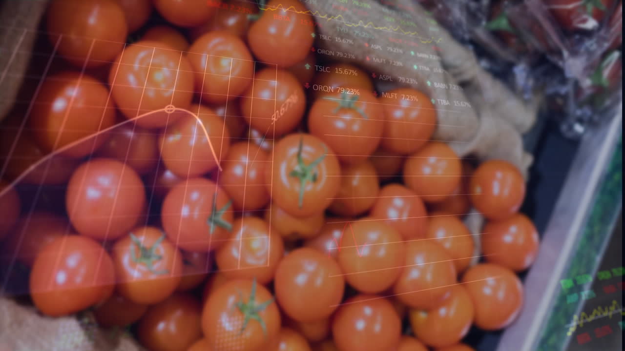 신선한 토마토에 대한 데이터 처리의 애니메이션