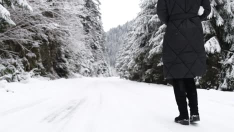 super slow motion 240 frames of a girl walking on a snowy road in the winter forest super slow motion 240 frames of a girl walking on a snowy road in the winter forest cold winter with lots of snow