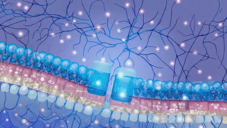 cell membrane with transmembrane proteins