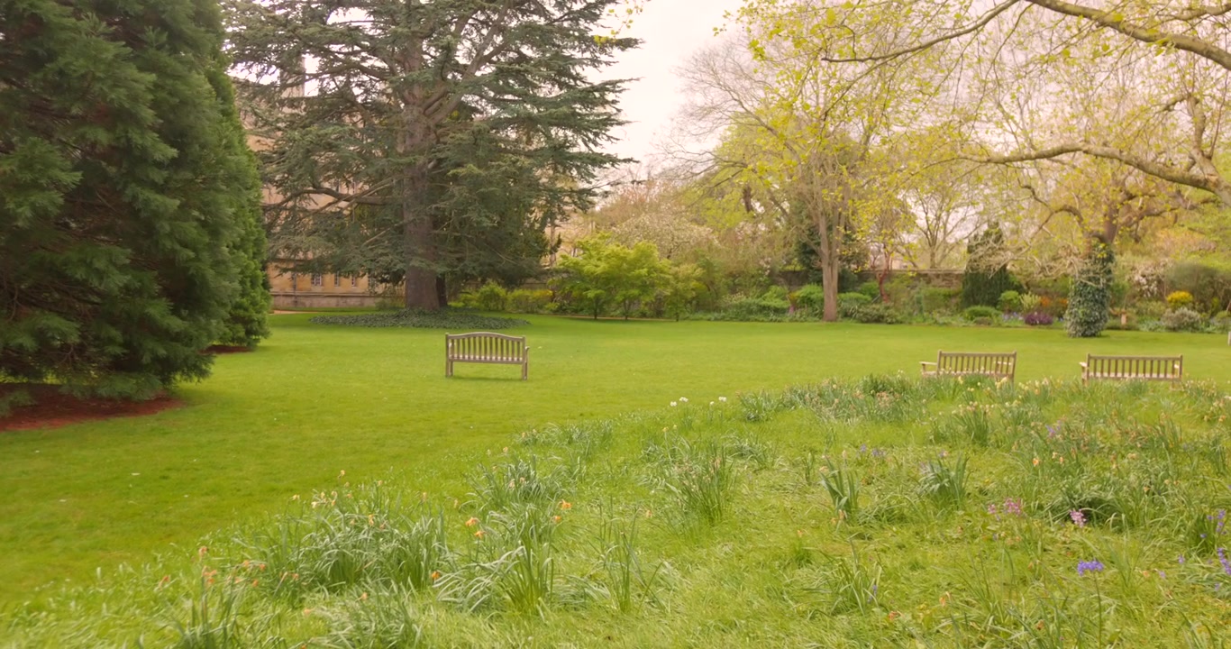 Weitwinkelansicht der Landschaftsgärten des Wadham College mit blühenden Blumen, alten Bäumen und friedlichem Universitätsgelände.