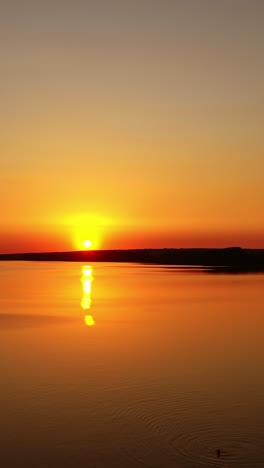 beautiful sunset over the river. amazing landscape of the evening water with the golden path from the setting sun. wonderful lake at sunset. motion camera to the left. vertical video