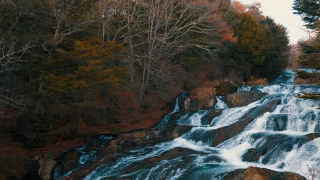 beautiful waterfall in the forest