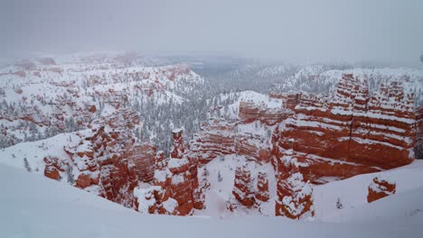 wide dolly shot of the snow covered hoodoos of bryce canyon national park on a cloudy and foggy day with an evergreen in the foreground