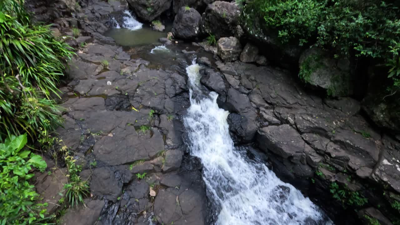 cascada en cascada a través de un bosque verde y exuberante
