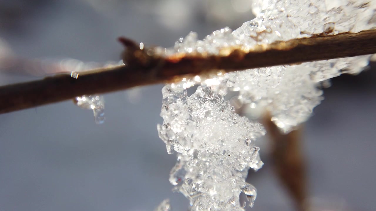 冬の森。抽象的な背景。雪と太陽。