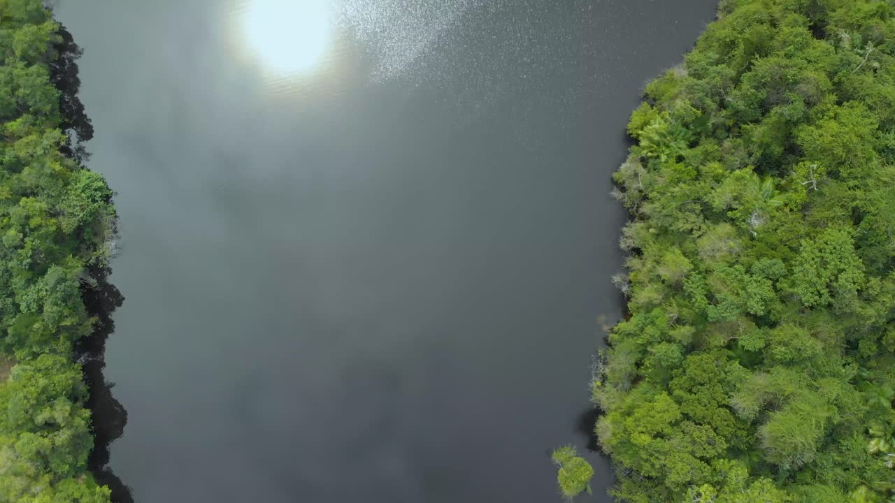 woman swim in black lake at rainforest