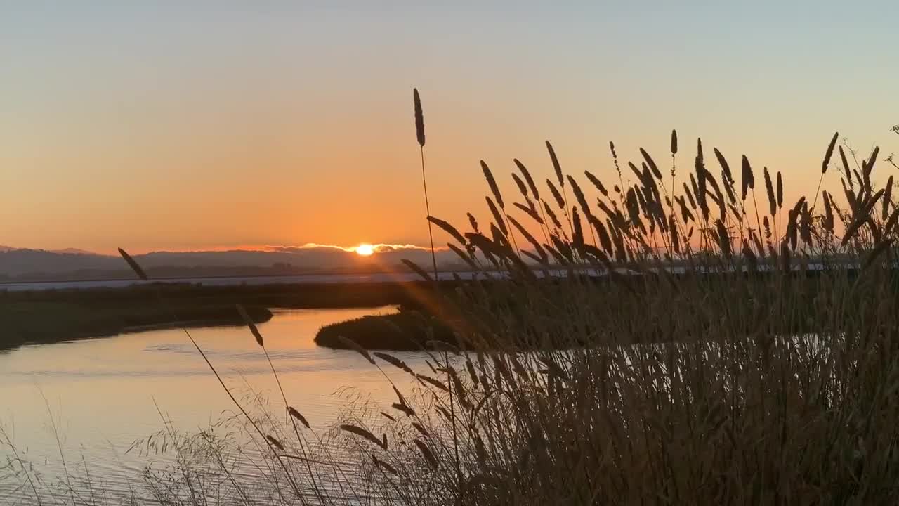 Un magnifico tramonto al Bedwell Bayfront Park a Menlo Park, California