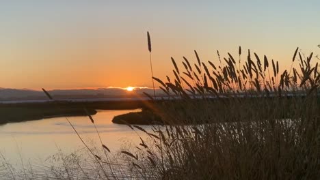 A-magnificent-sunset-at-Bedwell-Bayfront-Park-in-Menlo-Park,-California