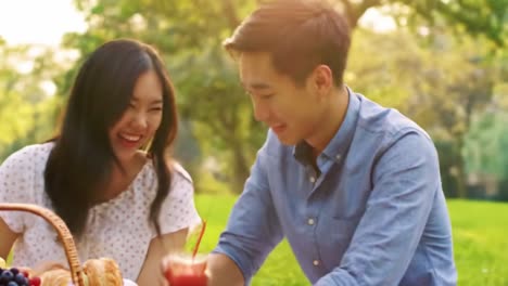 una pareja disfrutando de un picnic en el parque