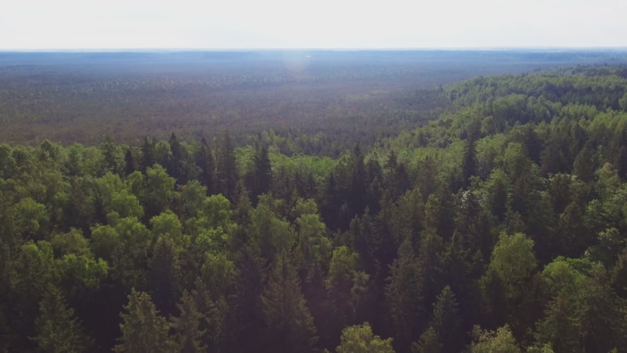 Alioniai Telmological Reserve On A Sunny Summer Morning. 4K Aerial Dolly-Out Shot