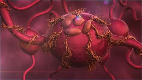 la glándula produce hormonas