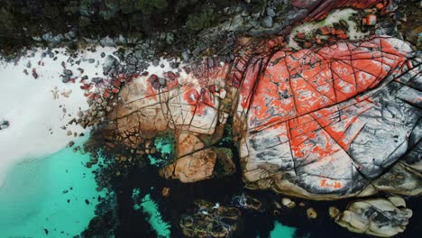 Bay-Of-Fires-Drone-of-Orange-Rocks,-Light-Blue-Water-in-Tasmania