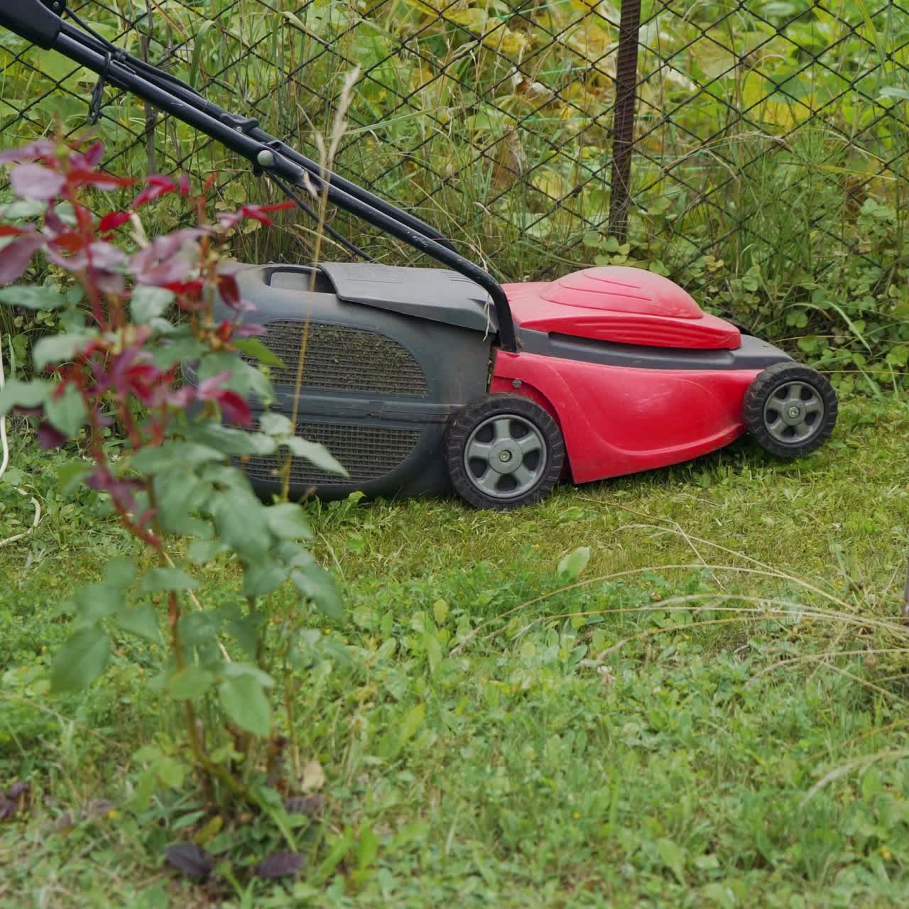 Electric lawn mower cuts the grass. Woman mowing lawn