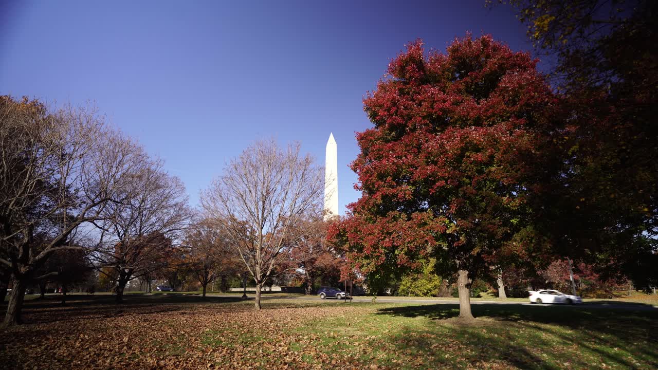 obelisco de washington parado detrás de árboles de colores otoñales, vista frontal del carro