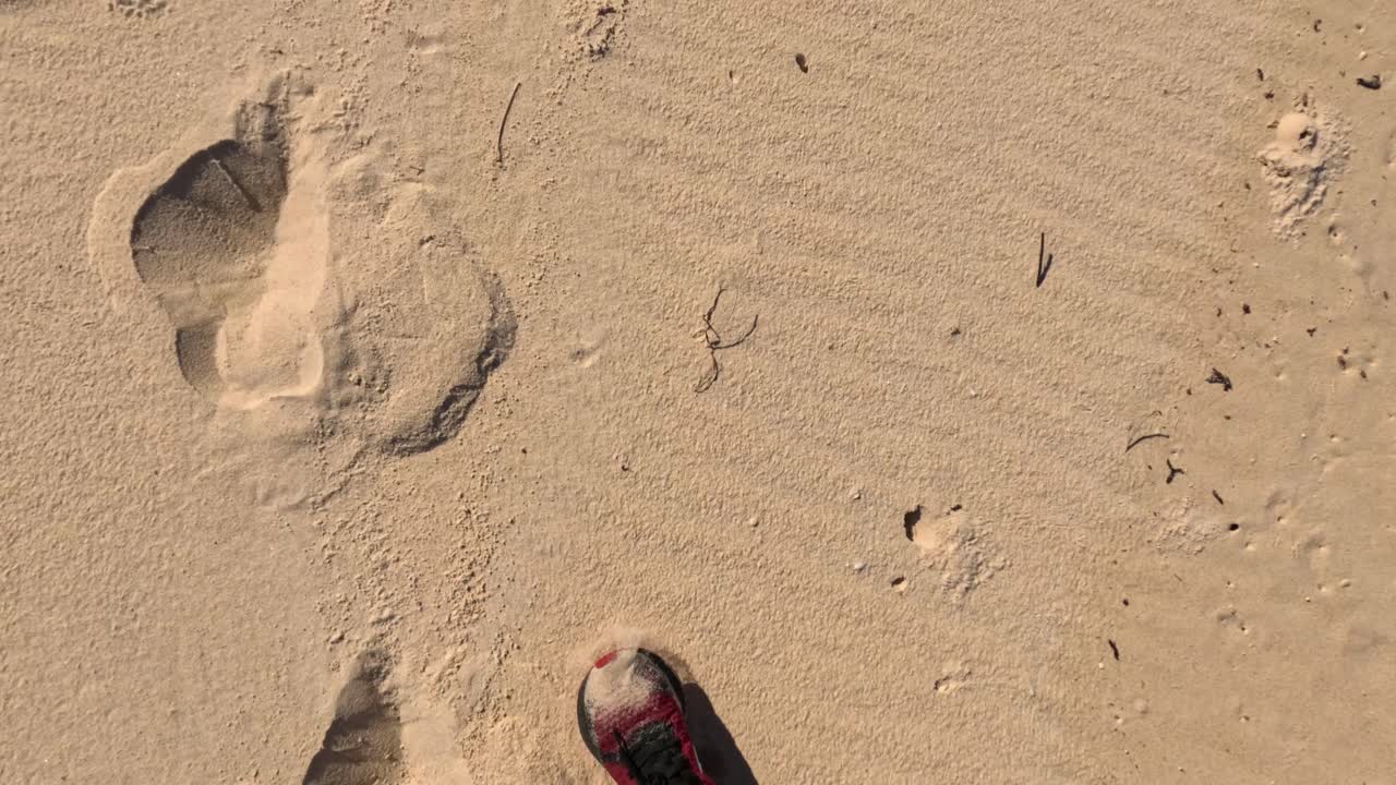 해변 산책 도중 모래 위 의 발자국